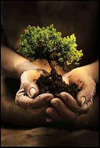 Admit One Products Cares for the Environment