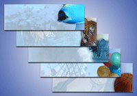 Multi-color foils and security