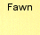 fawn