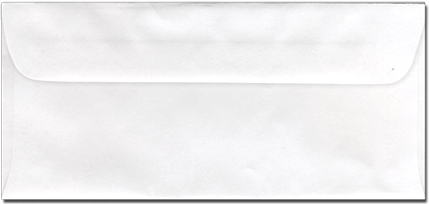 Blank 3-1/2" x 7-5/8" Ticket Envelopes