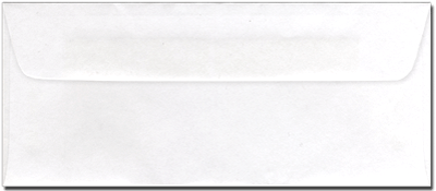 Blank 3" x 7" Ticket Envelopes