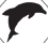 dolphin