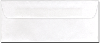 Blank 2.5" x 6" Ticket Envelopes