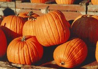 Halloween Tickets