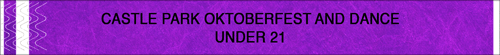 Fanfolded 1" Custom Tyvek Wristbands - Text Only