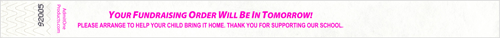 3/4" School Fundraising Order Tyvek Wristbands