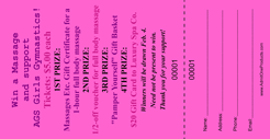 Large Vertical Budget Color Raffle Ticket
