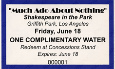 2" x 3.25" Security Drink Ticket with Text