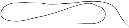 Elastic Neck Cord