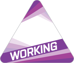 WORKING Sticker Pass