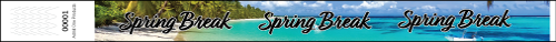3/4&quot; Spring Break Beach - Full Color Synthetic Wristbands